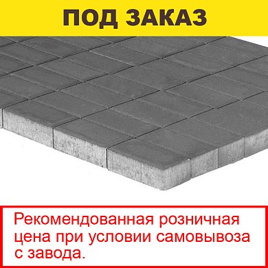 Плитка тротуарная BRAER, "Прямоугольник",  200*100*60мм, серый (12,96 кв.м) 648шт.