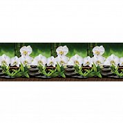 Фартук кухонный ПВХ 600*3000 мм  Белая орхидея