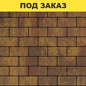 Плита тротуарная Б.2.П.6 (200*100*60) гранит листопад&nbsp;&nbsp;Осень (красный,коричн,желтый)/14,04м2