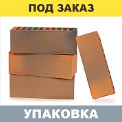  Кирпич керамический лицевой пустотелый Flаsh Аккорд 1,4НФ (250*120*88мм) М150 (3,0 1,2) (352шт.)