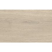 Керамогранит РЕНЦО дерево (30х60,3)