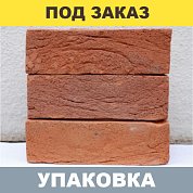 Кирпич RECKE HB WDF 4-00-00-0-00 (красный) М-125