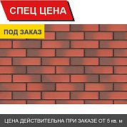 Клинкерная фасадная плитка King Klinker Dream House Таинственный сад (05) гладкая RF10, 250*65*10мм